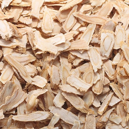 Angelica Root Essential Oil