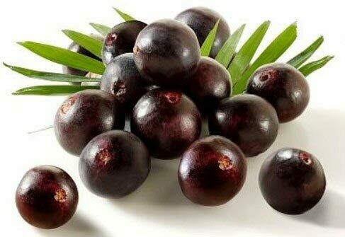 Acai berry Extract