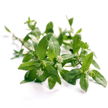 زيت برينجراج (120 مل)