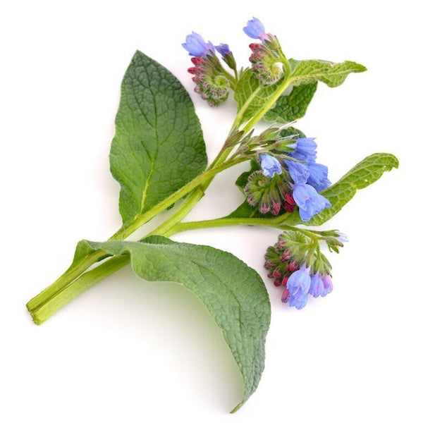 زيت السمفيتون (30 مل)