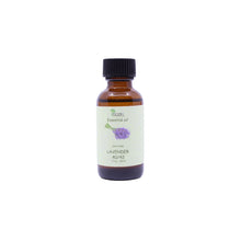 Lavender 40/42 essential oil