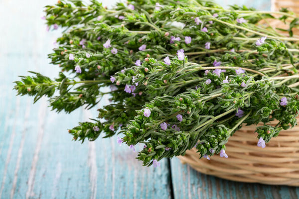 Thyme essential oil